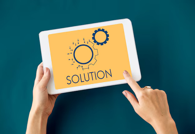 Custom IT Solutions in Bareilly
